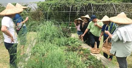 Farm Kitchen-Flying Cow Ranch | Gogo-TaiwanFarm