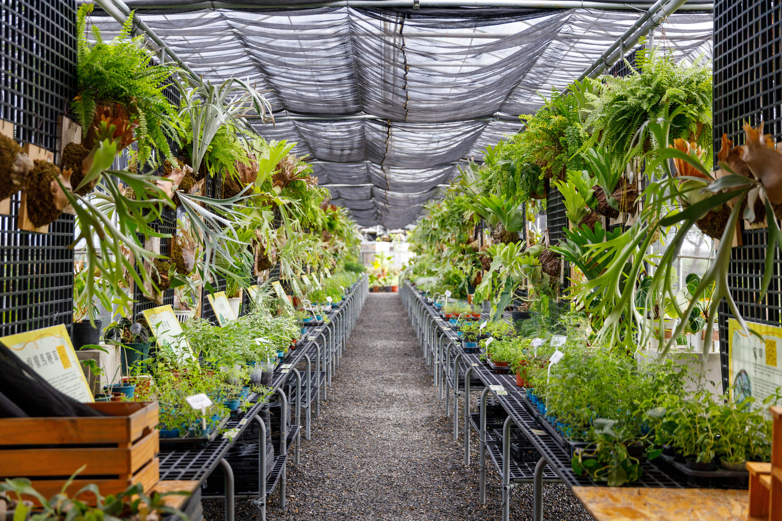 SPRING GARDEN RANCH&RESORT | Gogo-TaiwanFarm