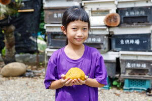 Dong Xing Bee Farm -Bee Travel Experience