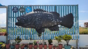 Captain Su Safe Aquaculture Farm