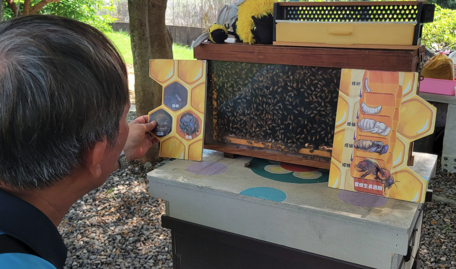 06_蜂的生態解說