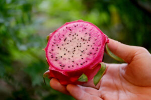 Qing You Ling Experience Farm