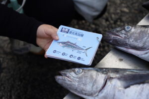 Fish Every Year