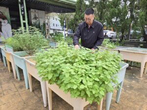Dongshan Food & Agricultural Creative Park