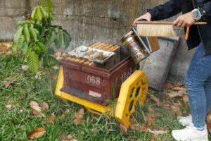 Tsai Feng Lin Apiary